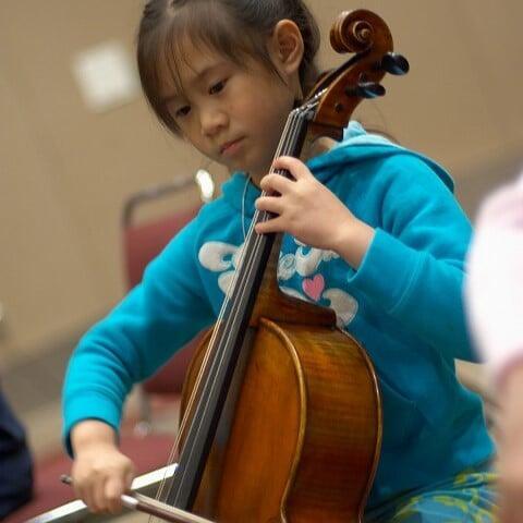 Entry level cellos