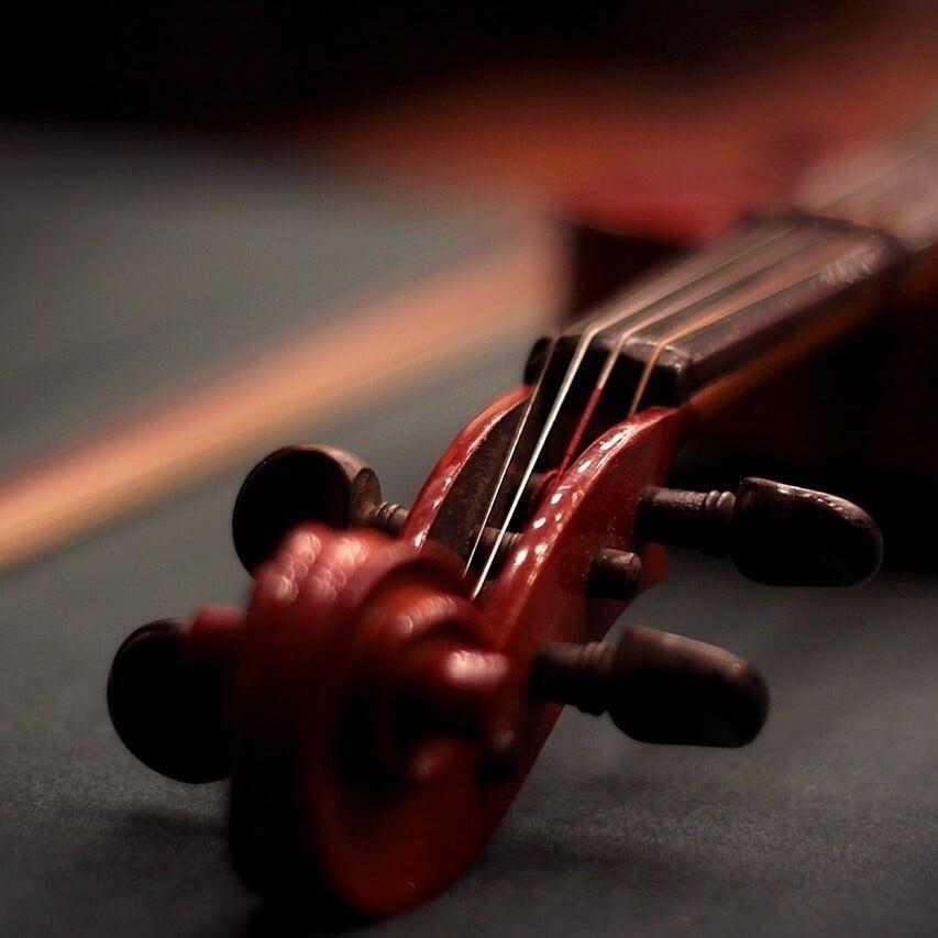 Entry level violas