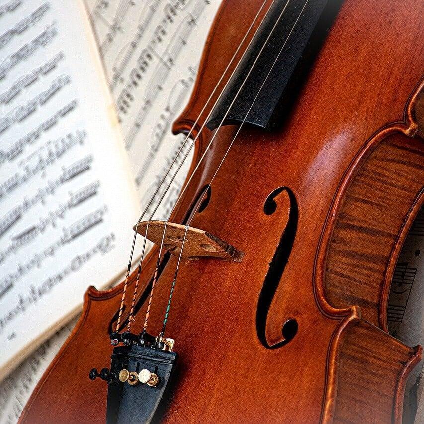 Intermediate violas