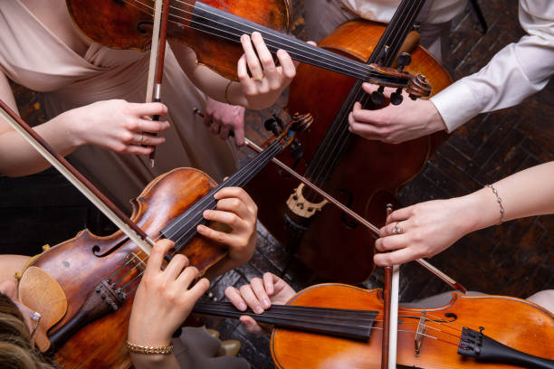 Violin, Viola, Cello, or Double Bass? Which String Instrument is Right for You?
