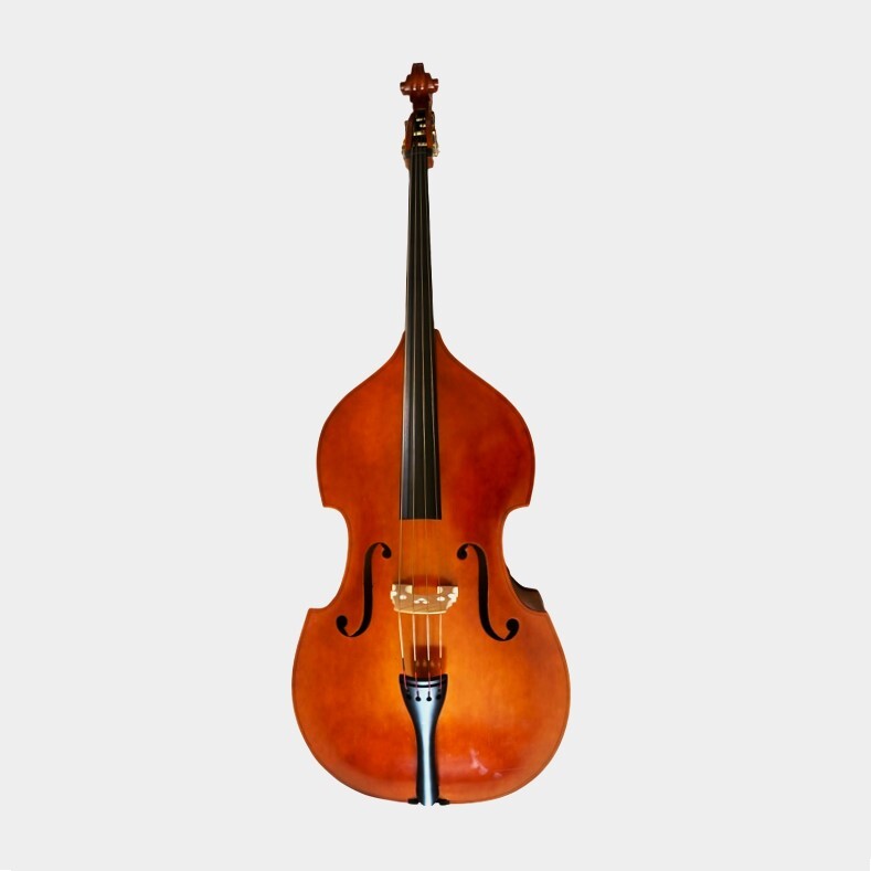 Double Bass 3/4 Andante model Double Bass 3/4 Andante model