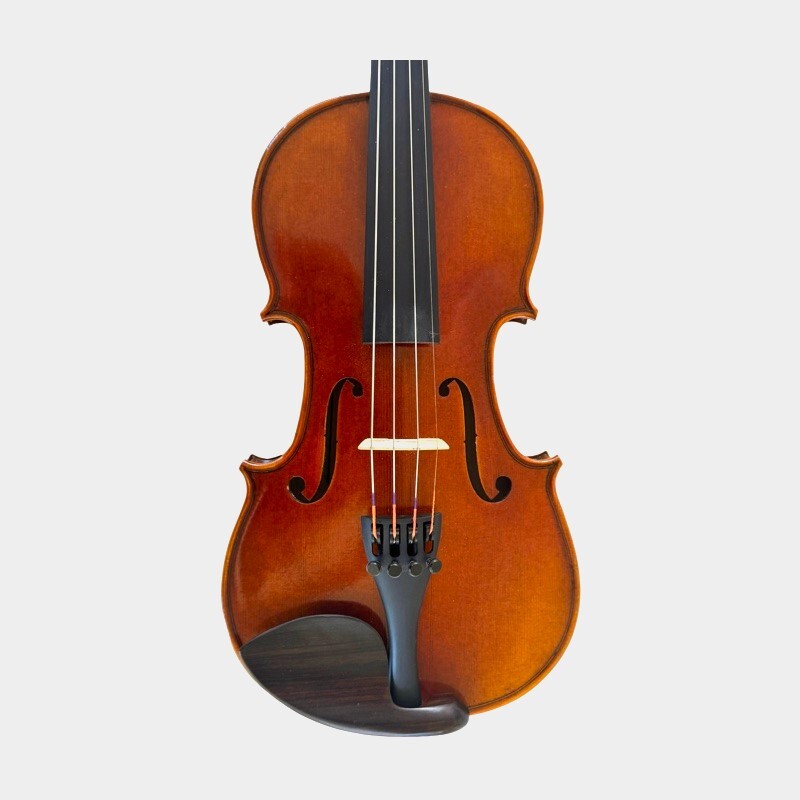 Violin 1/2 Andante model Violin 1/2 Andante model