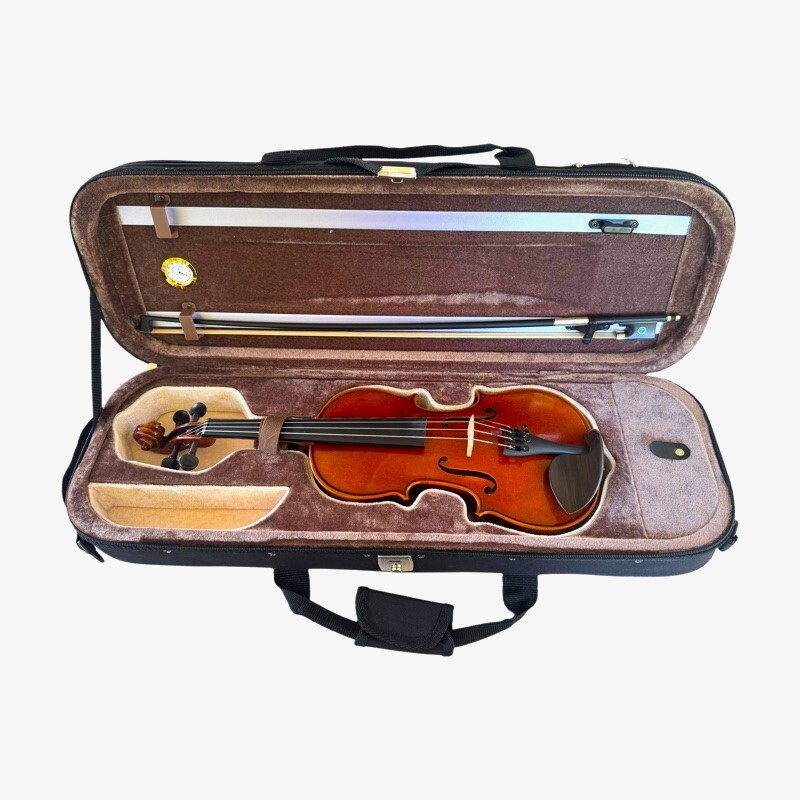 Violin 1/2 Andante model Violin 1/2 Andante model