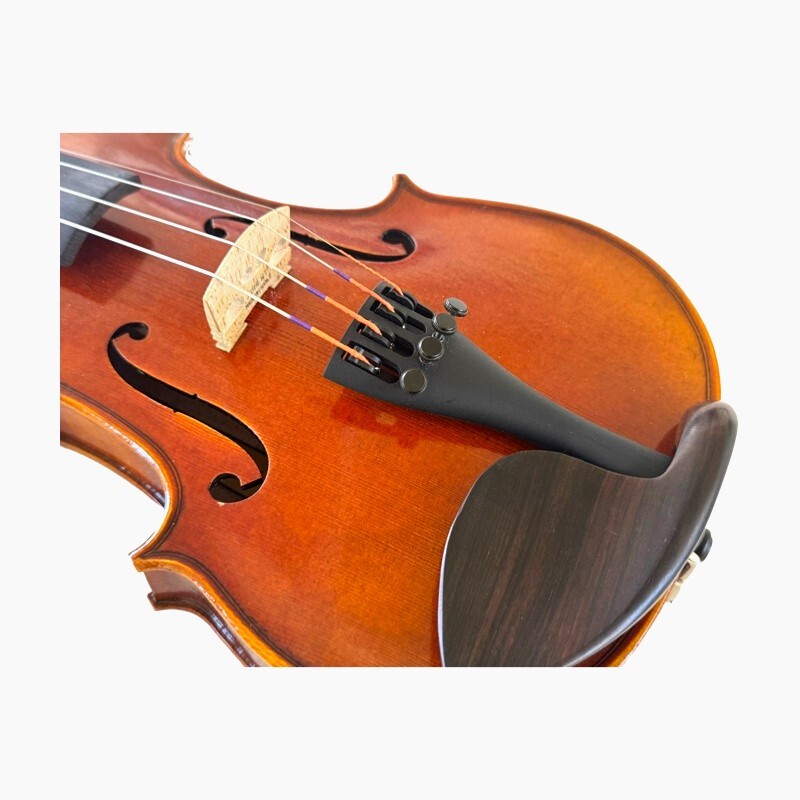 Violin 1/2 Andante model Violin 1/2 Andante model