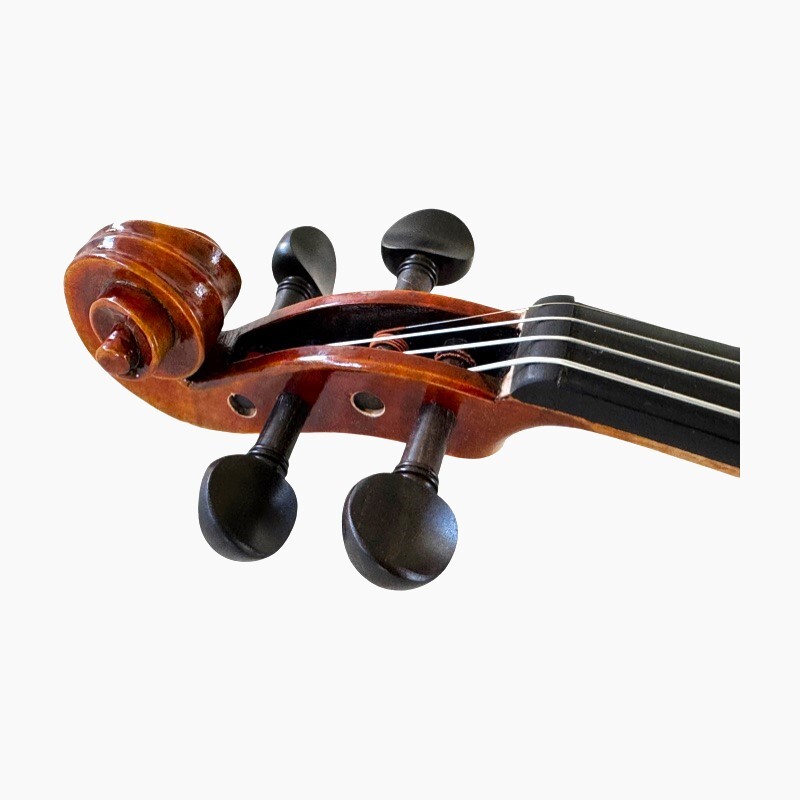 Violin 1/2 Andante model Violin 1/2 Andante model