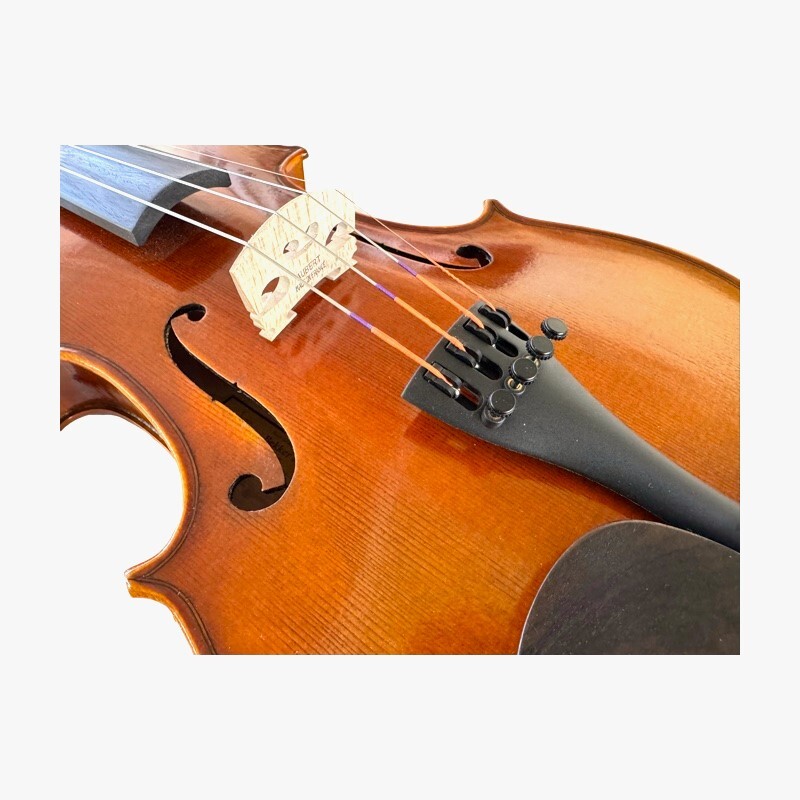 Violin 4/4 Andante model Violin 4/4 Andante model