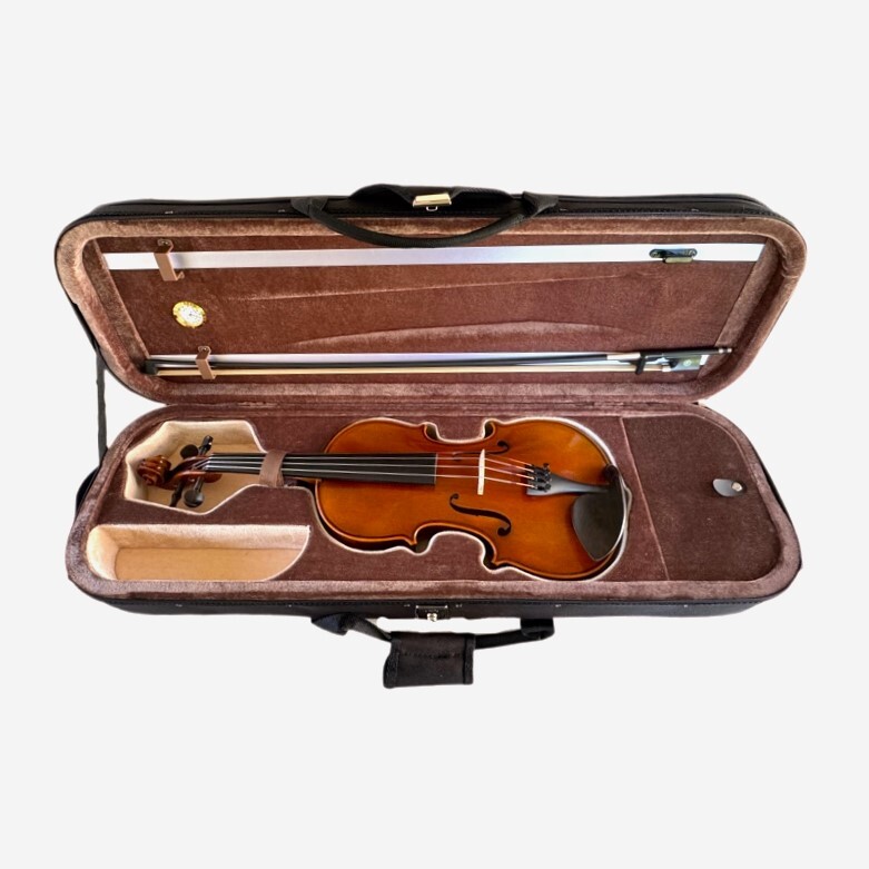 Violin 4/4 Andante model Violin 4/4 Andante model