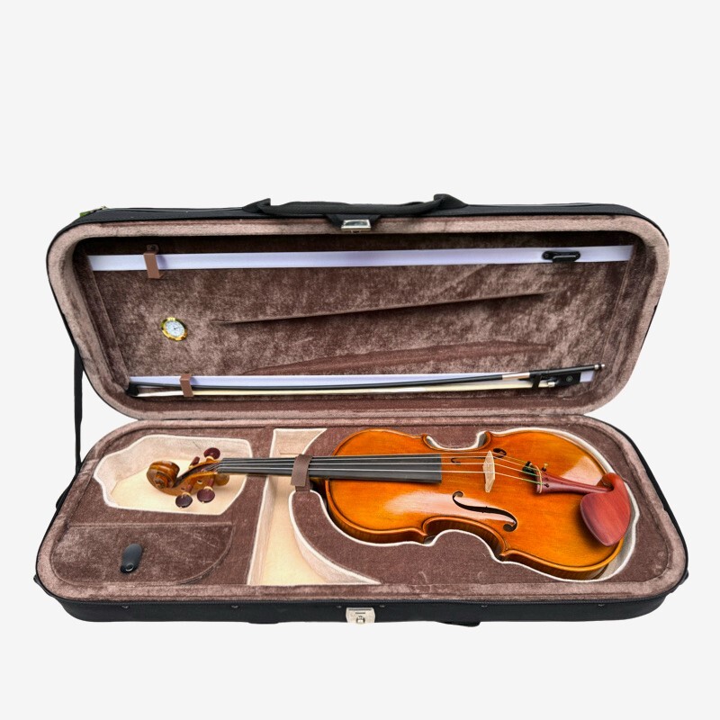 Viola 4/4 Allegro model Viola 4/4 Allegro model