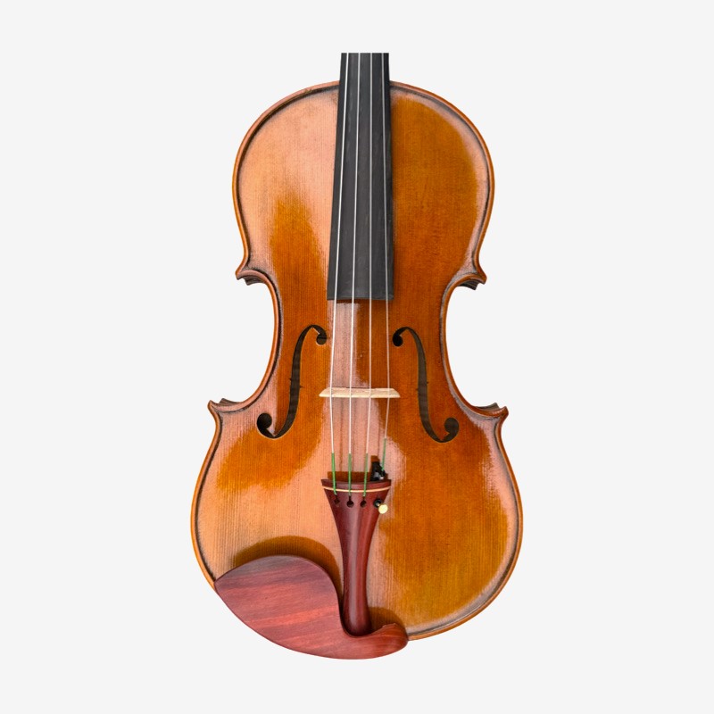 Viola 4/4 Allegro model Viola 4/4 Allegro model