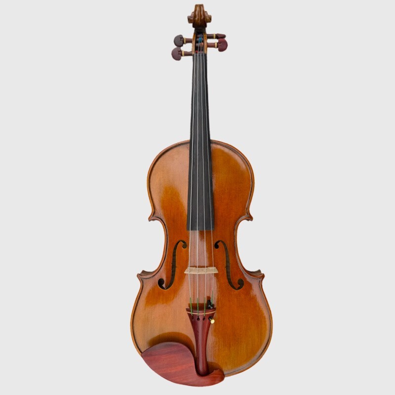 Viola 4/4 Allegro model Viola 4/4 Allegro model