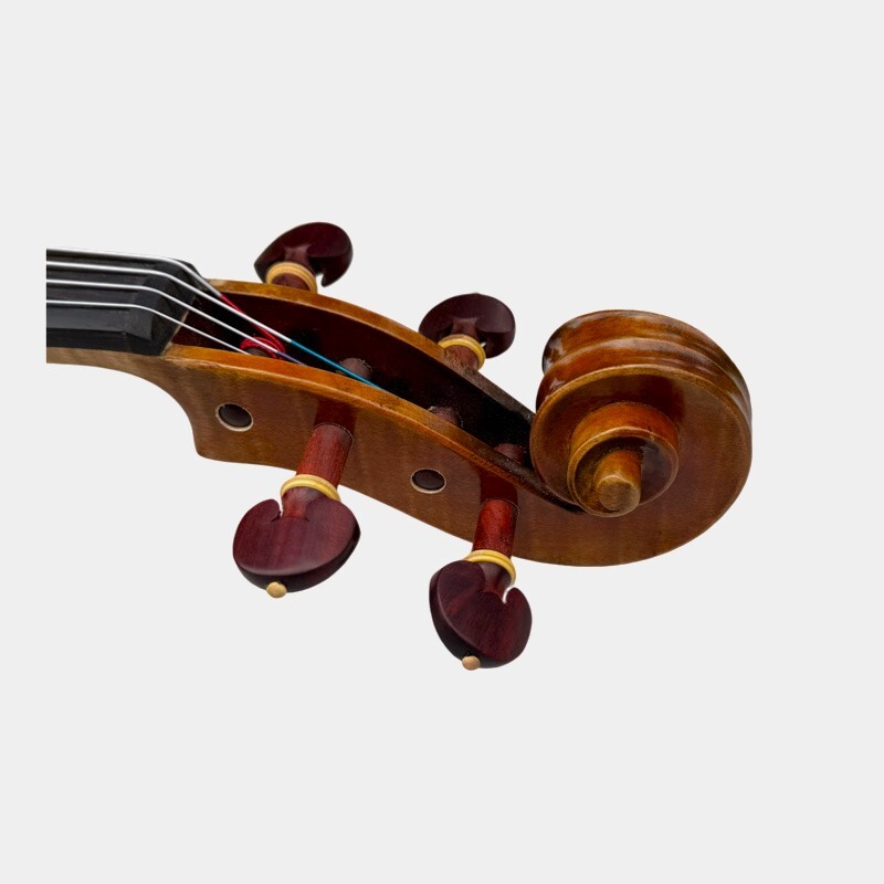 Viola 4/4 Allegro model Viola 4/4 Allegro model